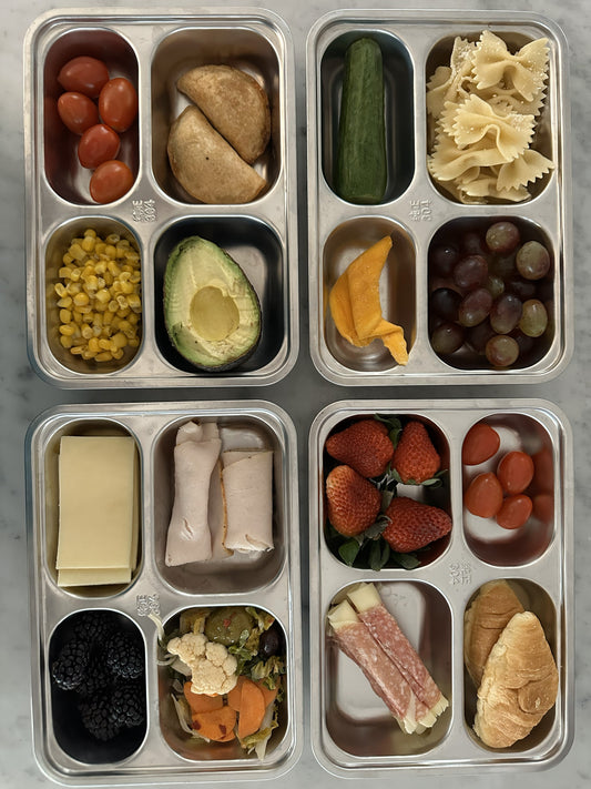 Stainless Steel vs Plastic Lunch Containers for Kids