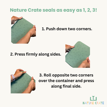 Nature Crate Stainless Steel Lunch Box Set (Bento Box + 2 Snack Containers)